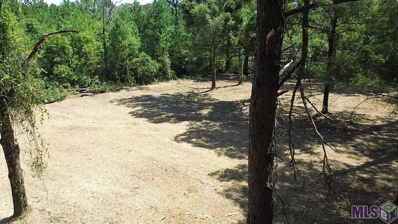 23947 Joe Gayle Road Livingston, LA 70754 - Photo 10 of 11 Gallery Image 10