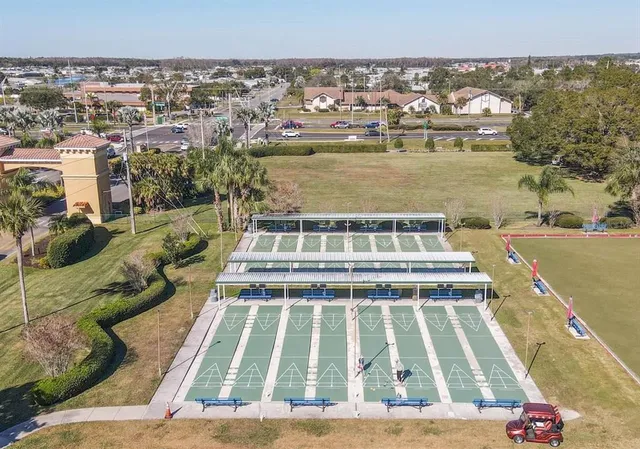 a aerial view of a house with a yard and potted plants