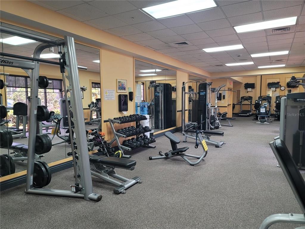 2215 Olive Branch Drive Sun City Center, FL 33573 - Photo 53 of 60 a view of a room with gym equipment