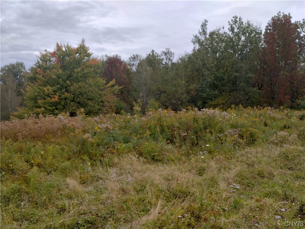 0 Cook Hill Road Newport, NY 13416 - Photo 6 of 9 Gallery Image 6