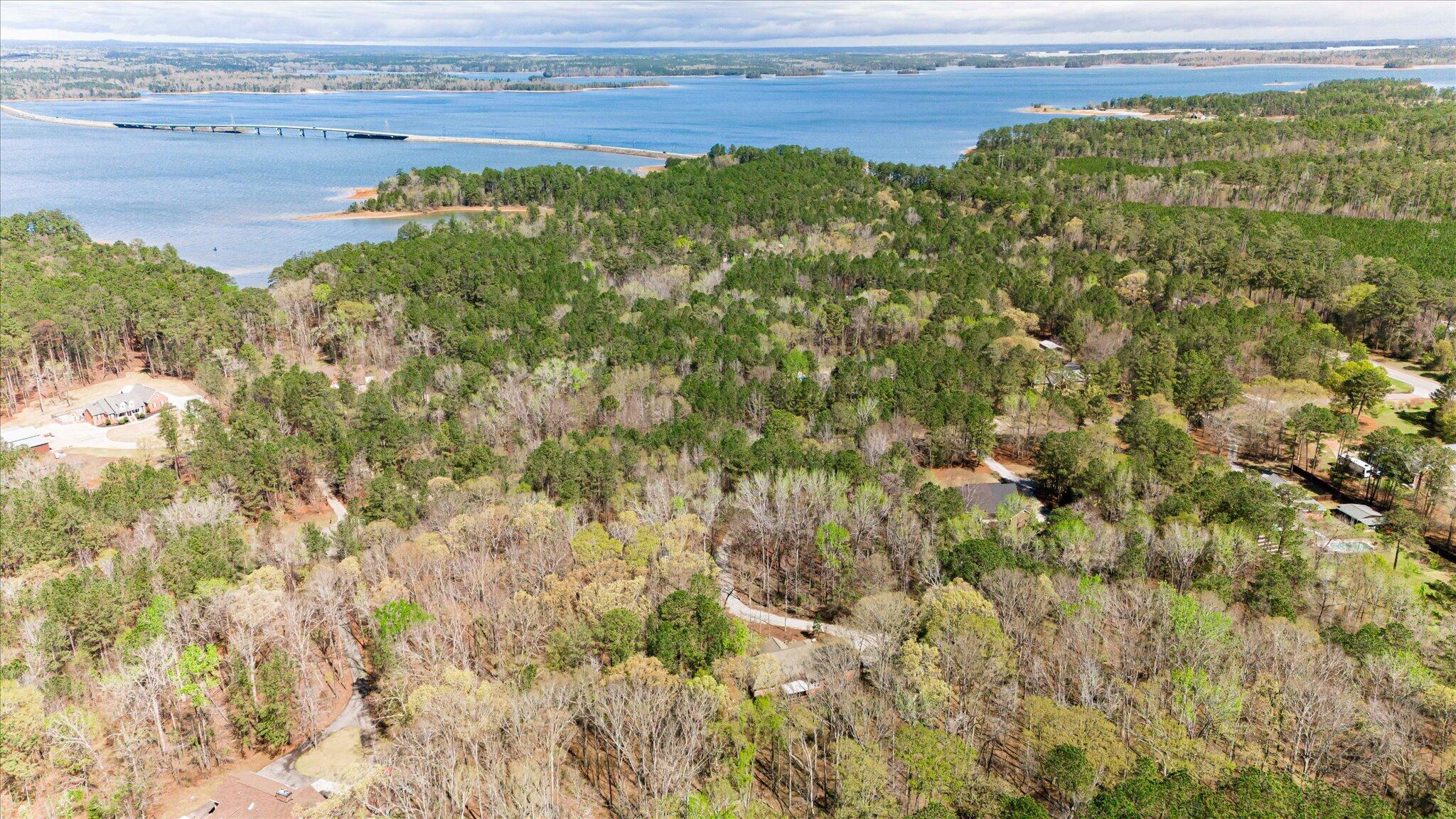 4179 Waters Edge Lane Appling, GA 30802 - Photo 3 of 62 03-003-