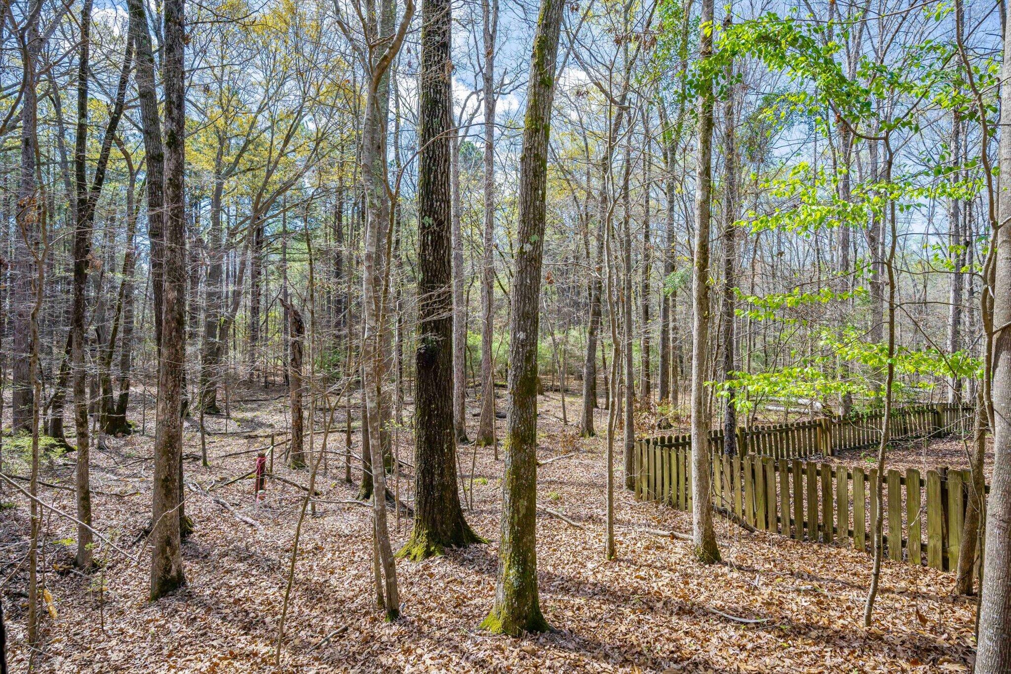 4179 Waters Edge Lane Appling, GA 30802 - Photo 53 of 62 53-053-