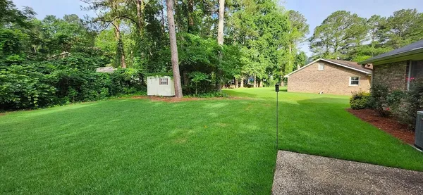 a view of a house with a yard and a large tree