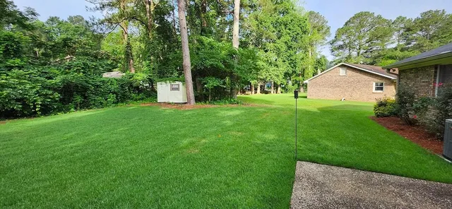 a view of a house with a yard and a large tree