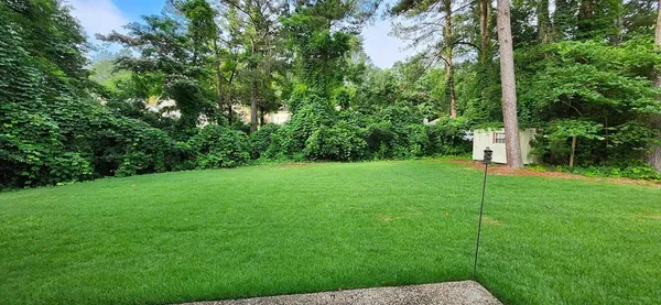a view of a garden with a tree