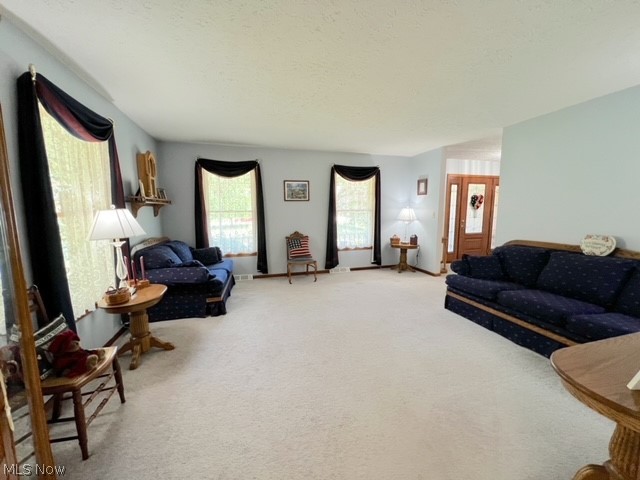 1349 Deer Hill Road Dennison, OH 44621 - Photo 7 of 36 Living room featuring carpet