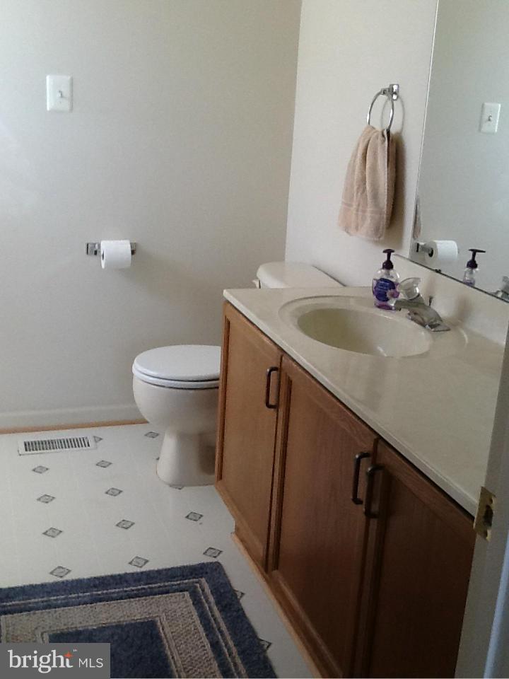 435 Delaware Road Frederick, MD 21701 - Photo 16 of 27 Bath (Master)