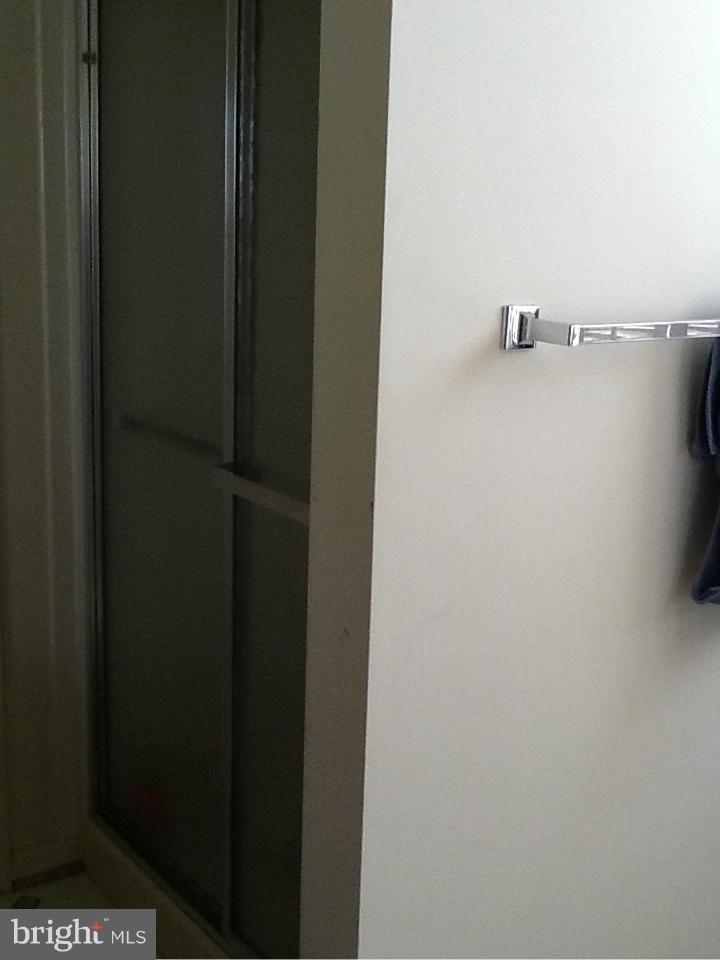 435 Delaware Road Frederick, MD 21701 - Photo 17 of 27 Bath (Master)