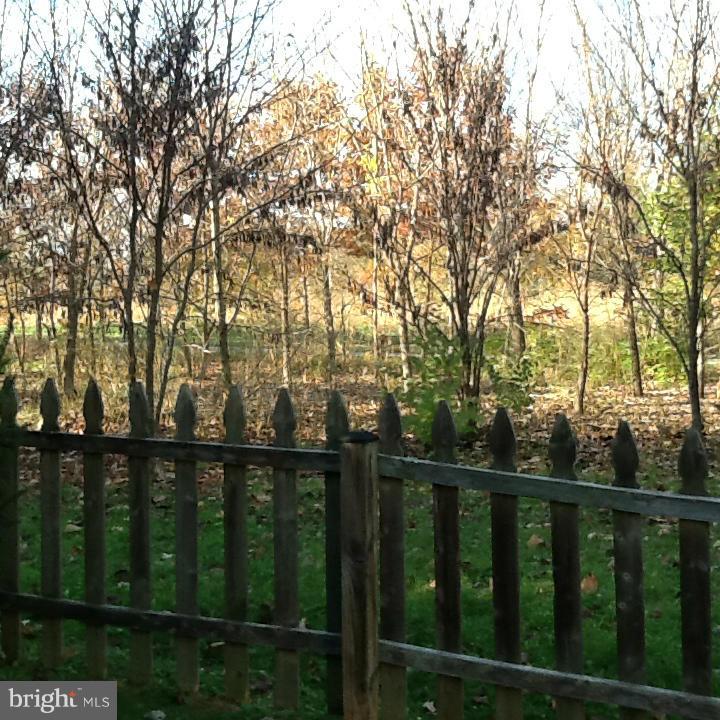 435 Delaware Road Frederick, MD 21701 - Photo 26 of 27 Exterior (Rear)