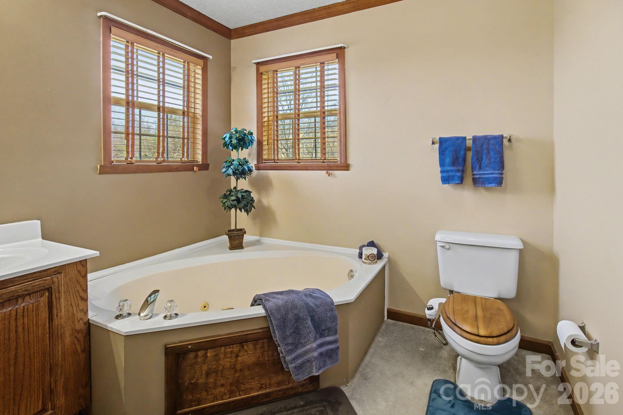 74 Chambers Road Weaverville, NC 28787 - Photo 26 of 43 a bathroom with a sink toilet and a window