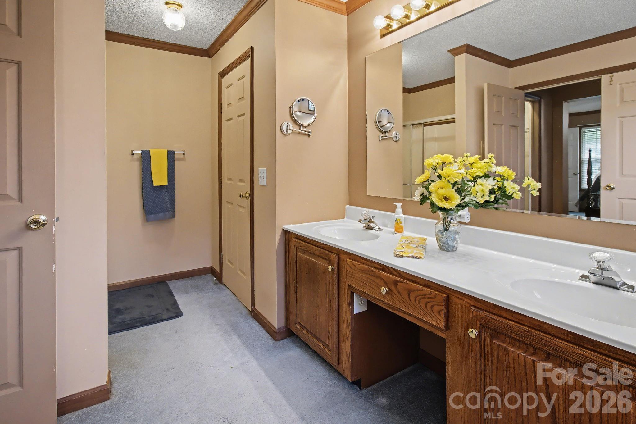 74 Chambers Road Weaverville, NC 28787 - Photo 28 of 43 a bathroom with a double vanity sink and a mirror