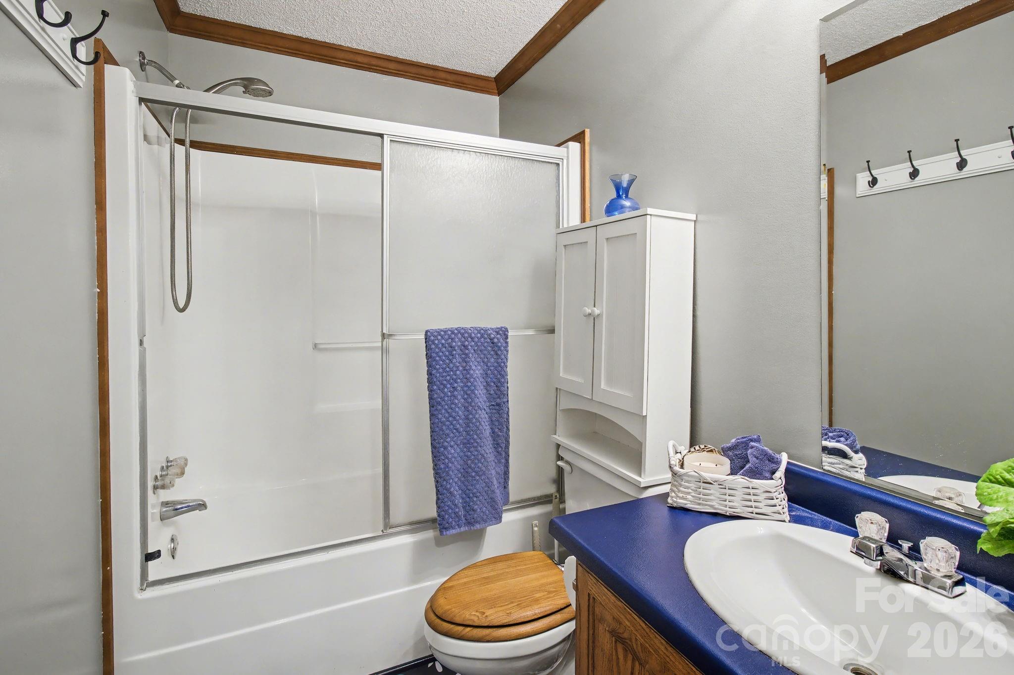74 Chambers Road Weaverville, NC 28787 - Photo 33 of 43 a bathroom with a sink toilet and shower