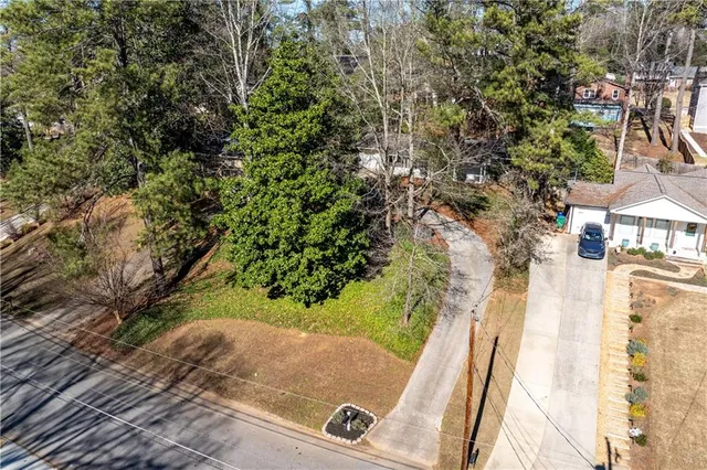 a view of a yard with a fountain and plants