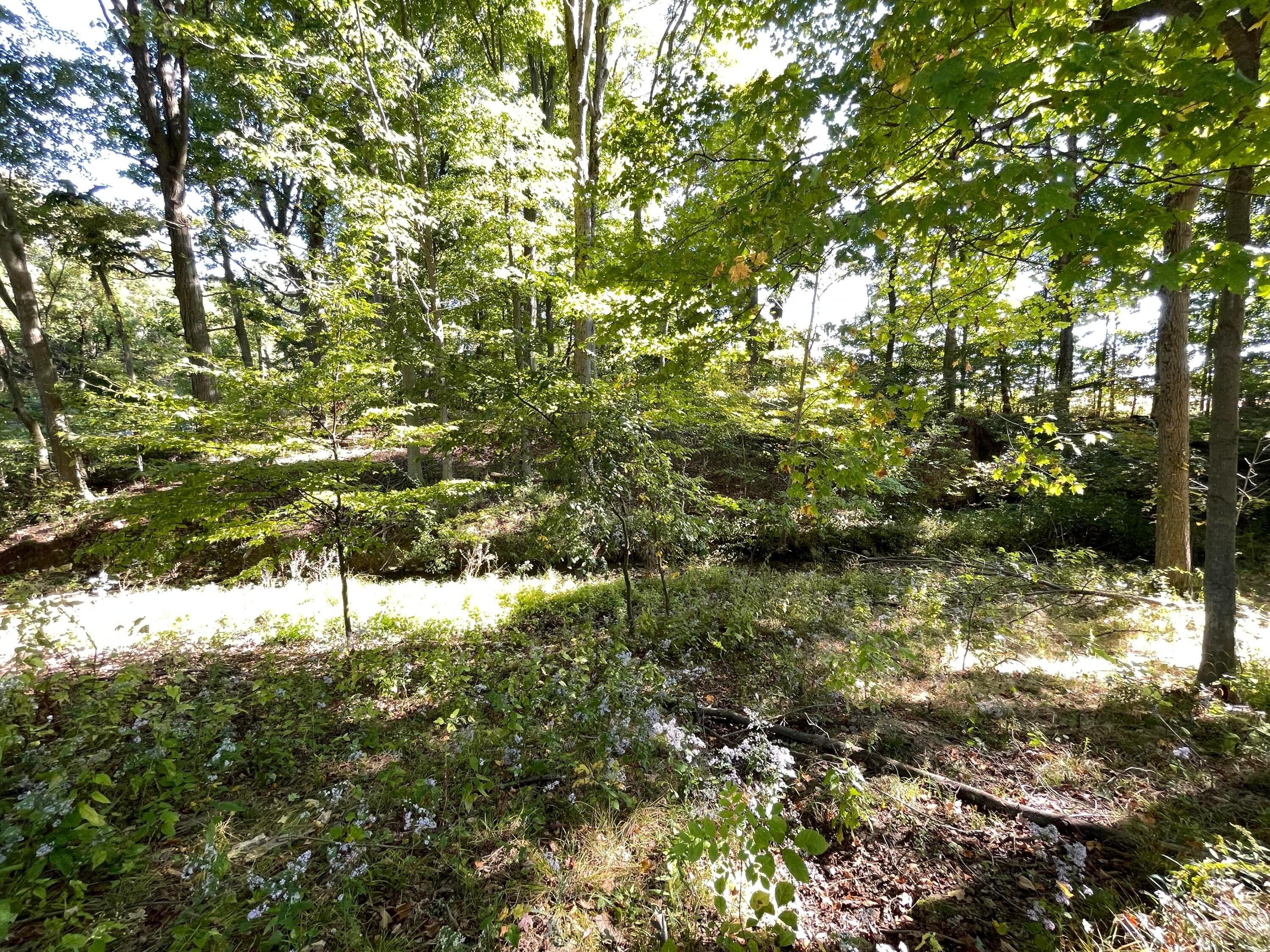 14180 Hyatt Road Mount Vernon, OH 43050 - Photo 18 of 28 8