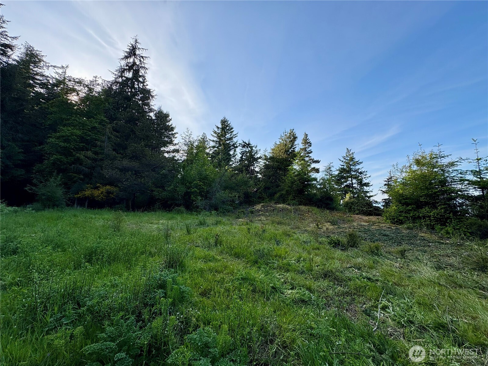 0 Raccoon Point Road, Unit LOT 19 Orcas Island, WA 98245 - Photo 11 of 29 a view of a green yard