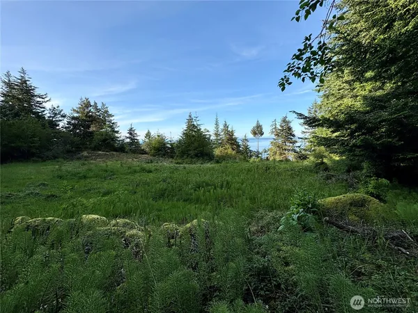 a view of a lush green space with sea