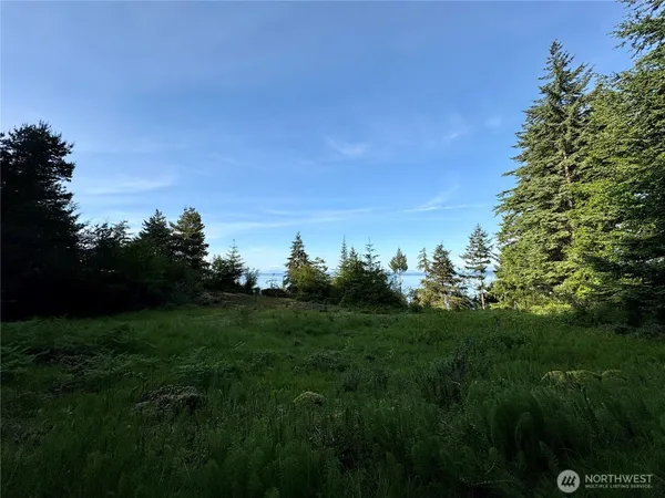 a view of a grassy field with trees