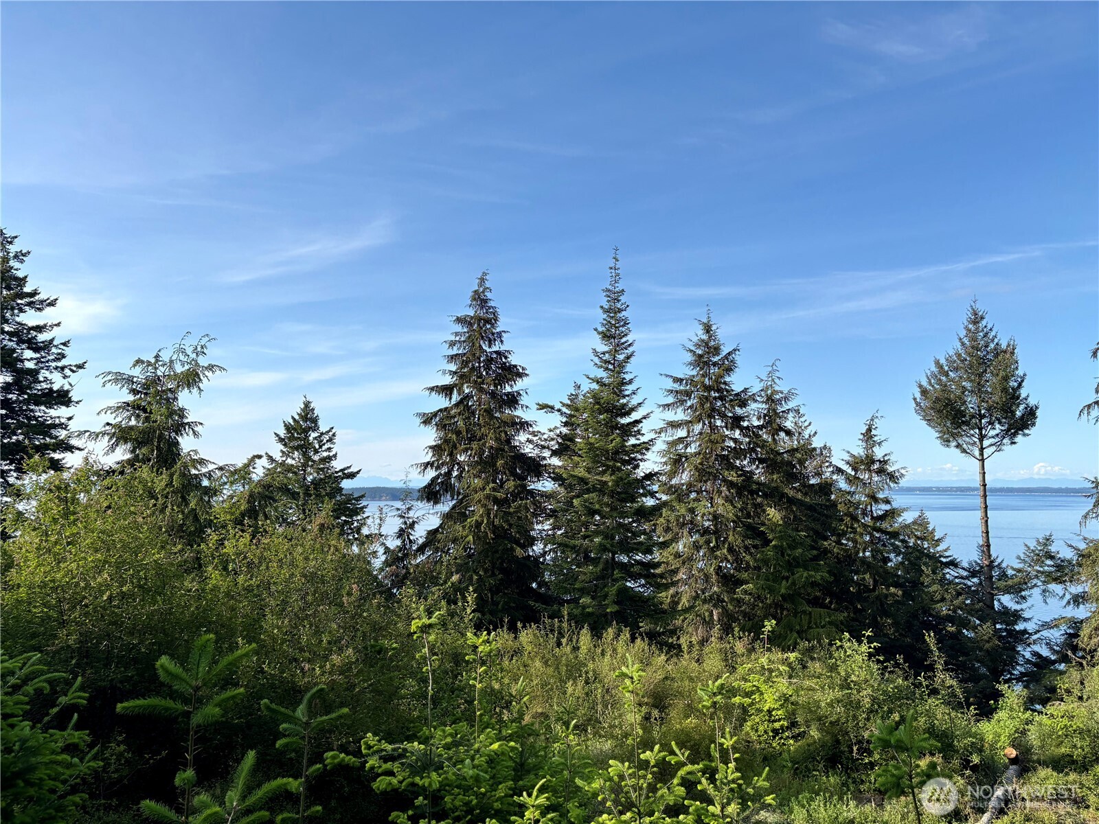 0 Raccoon Point Road, Unit LOT 19 Orcas Island, WA 98245 - Photo 5 of 29 a view of a city