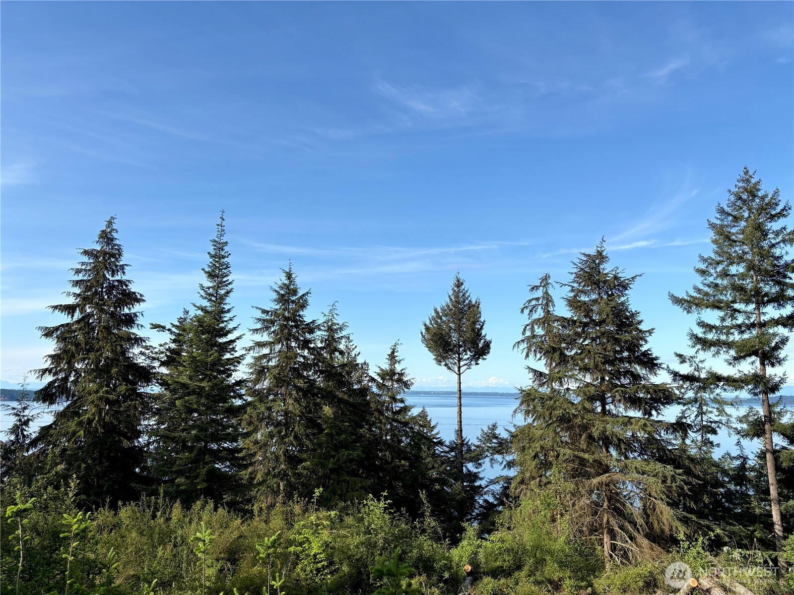 0 Raccoon Point Road, Unit LOT 19 Orcas Island, WA 98245 - Photo 6 of 29 a view of a city with lush green forest