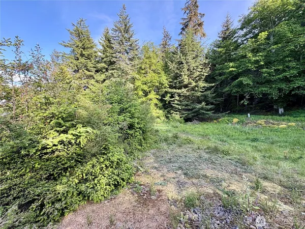 a view of a garden with plants