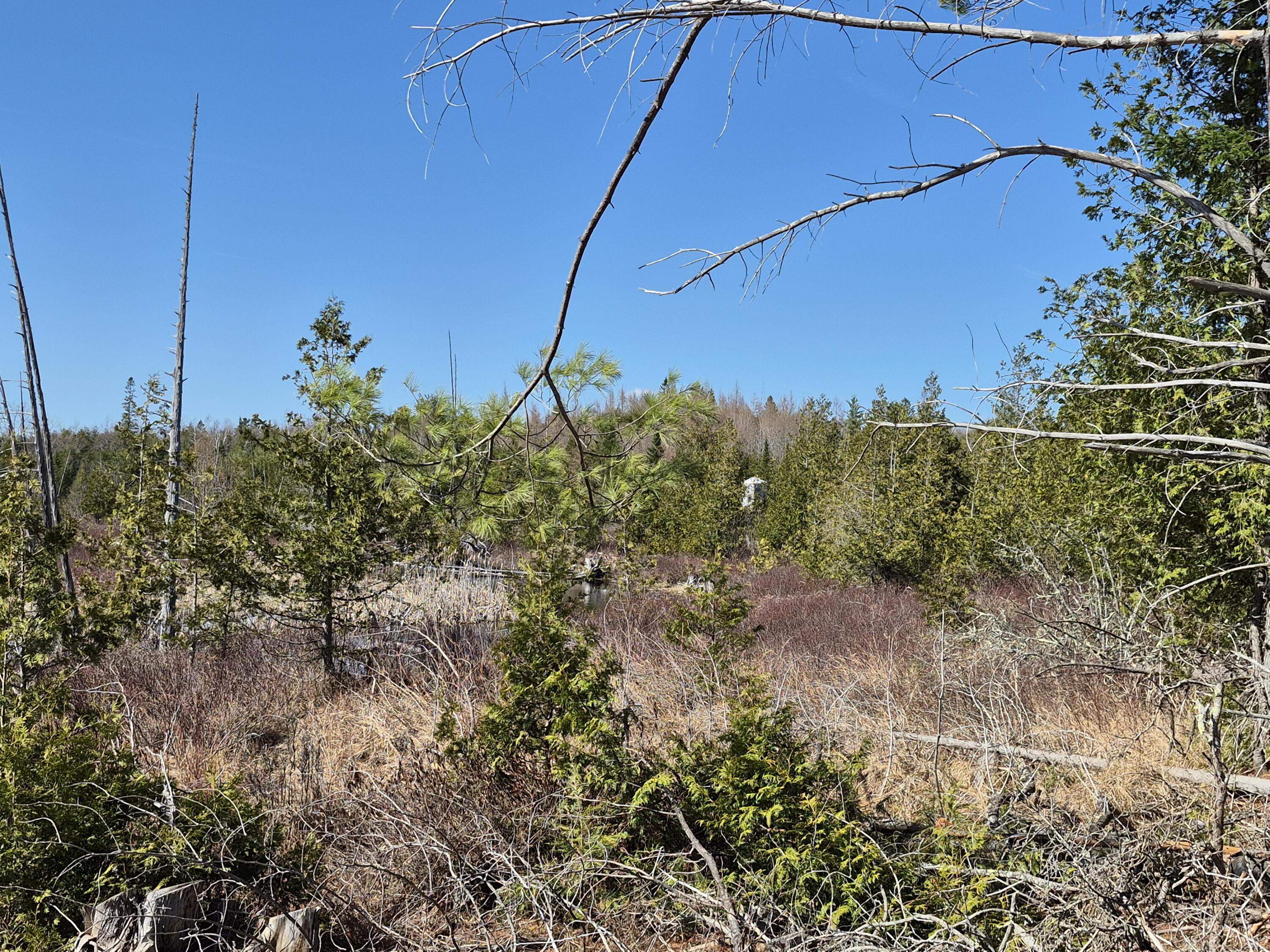 M12-l22-23 Merrill Road Stetson, ME 04488 - Photo 27 of 48 27 one tree stand