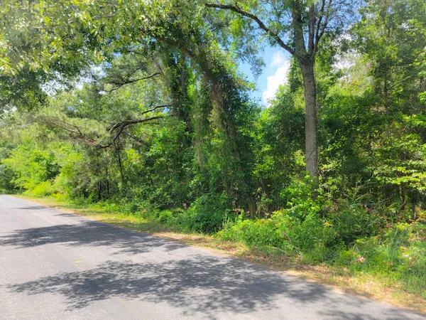 $237,000 | 0 Murraysville Road, Moncks Corner, SC 29461