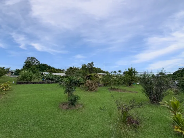 a view of a garden with a building in background