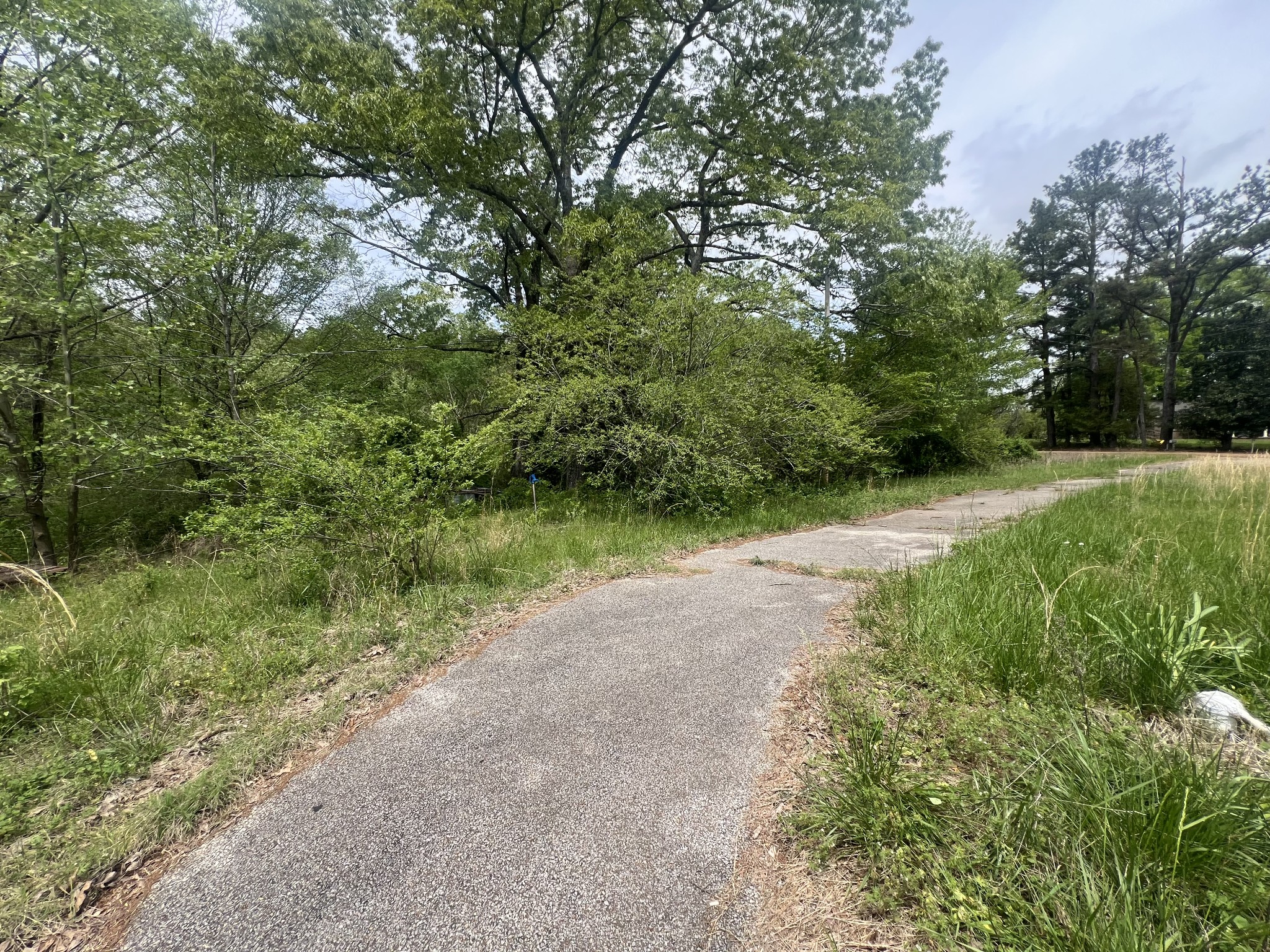 6790 Teague Road Medon, TN 38356 - Photo 3 of 9