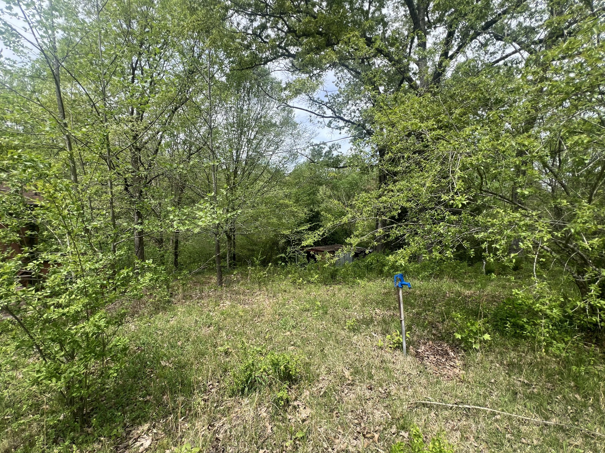 6790 Teague Road Medon, TN 38356 - Photo 4 of 9