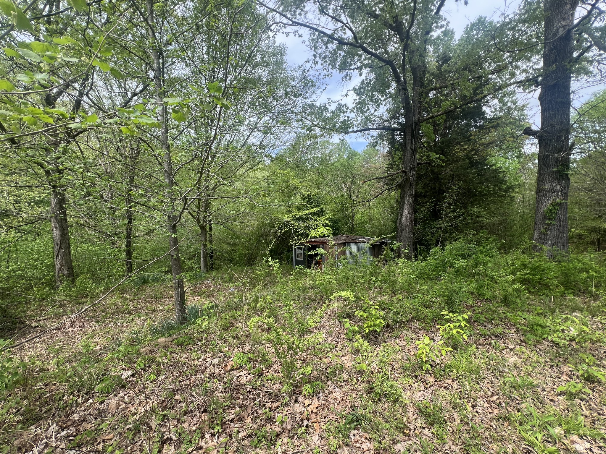 6790 Teague Road Medon, TN 38356 - Photo 6 of 9
