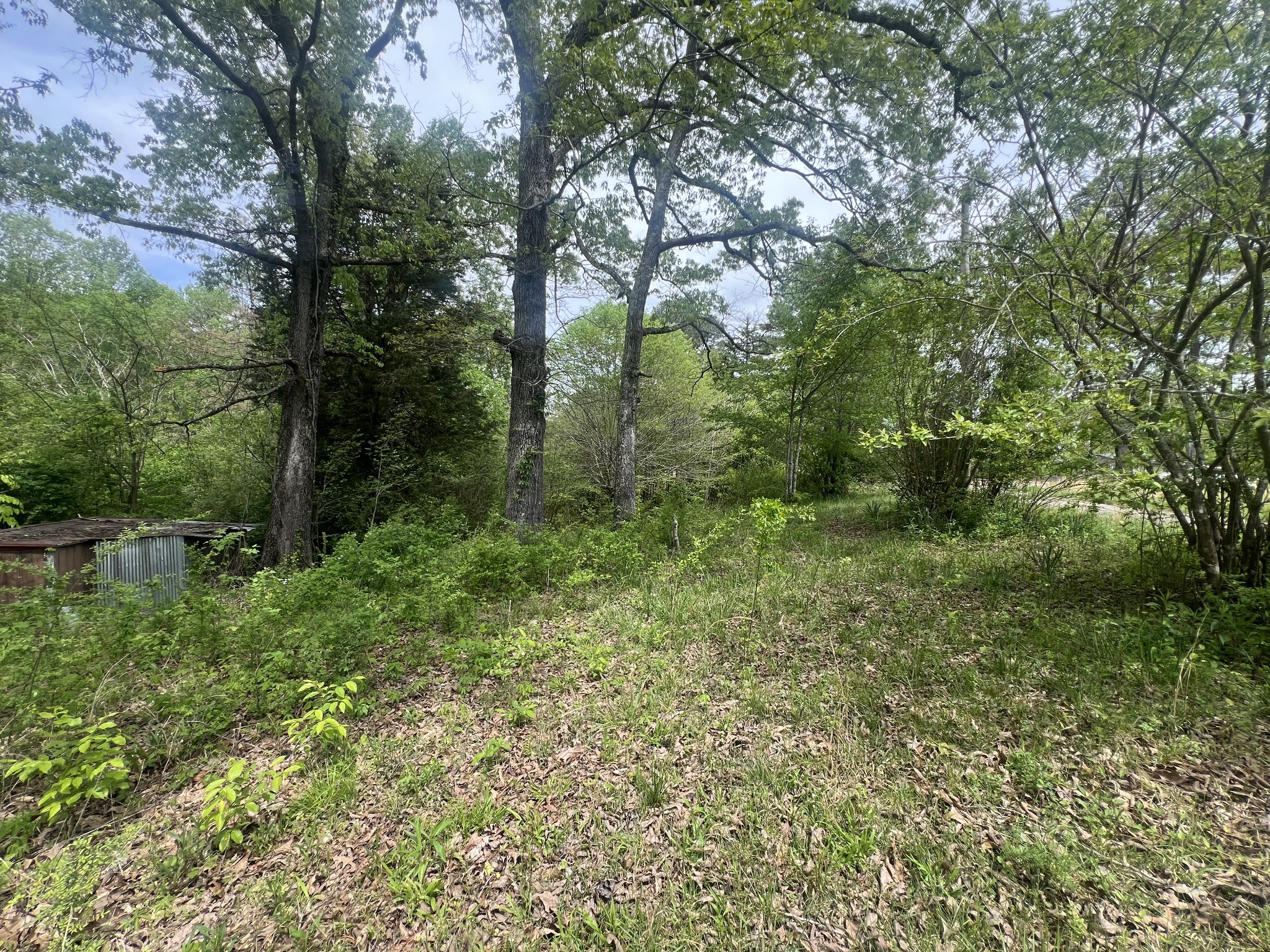 6790 Teague Road Medon, TN 38356 - Photo 7 of 9