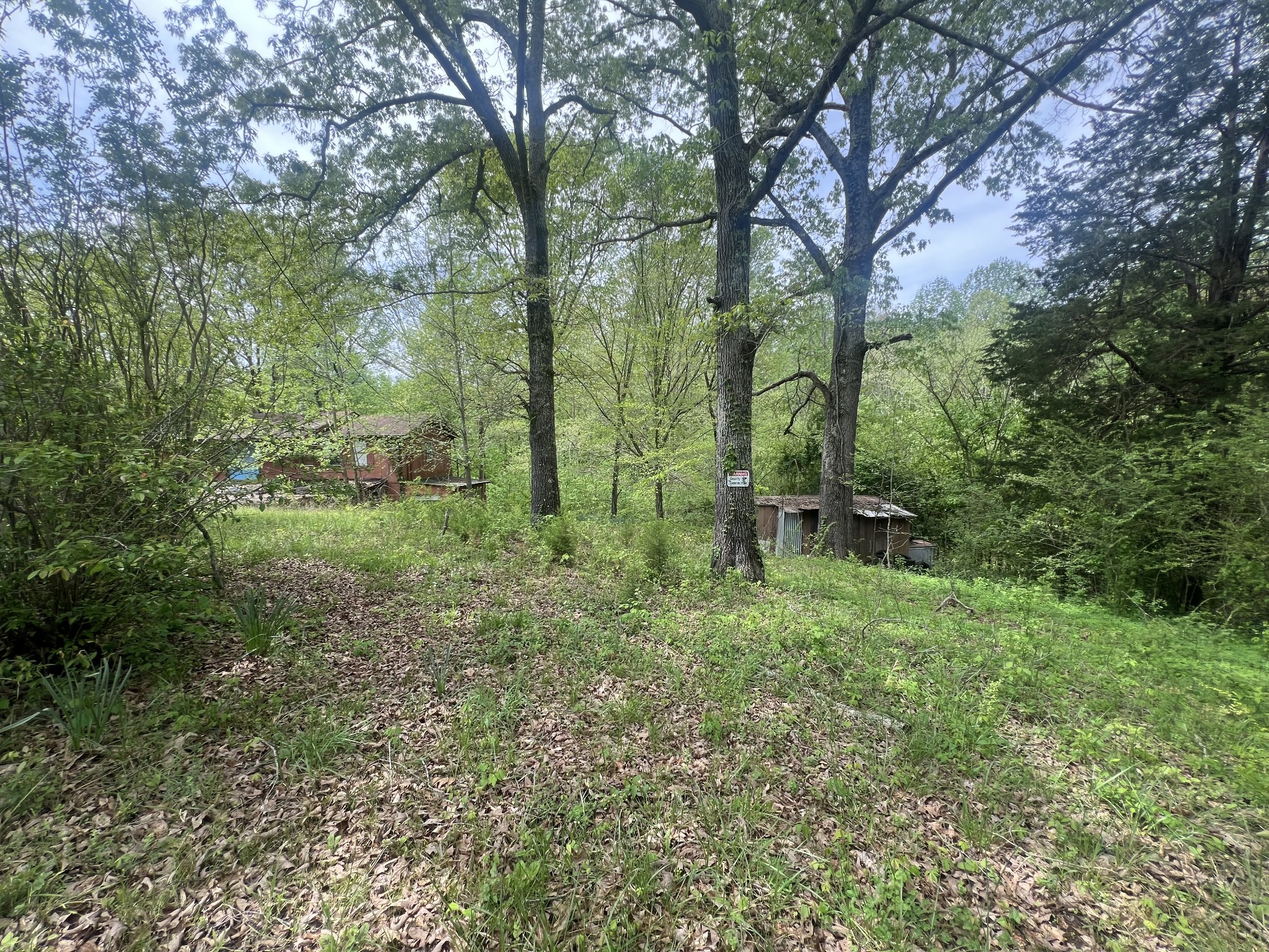 6790 Teague Road Medon, TN 38356 - Photo 9 of 9