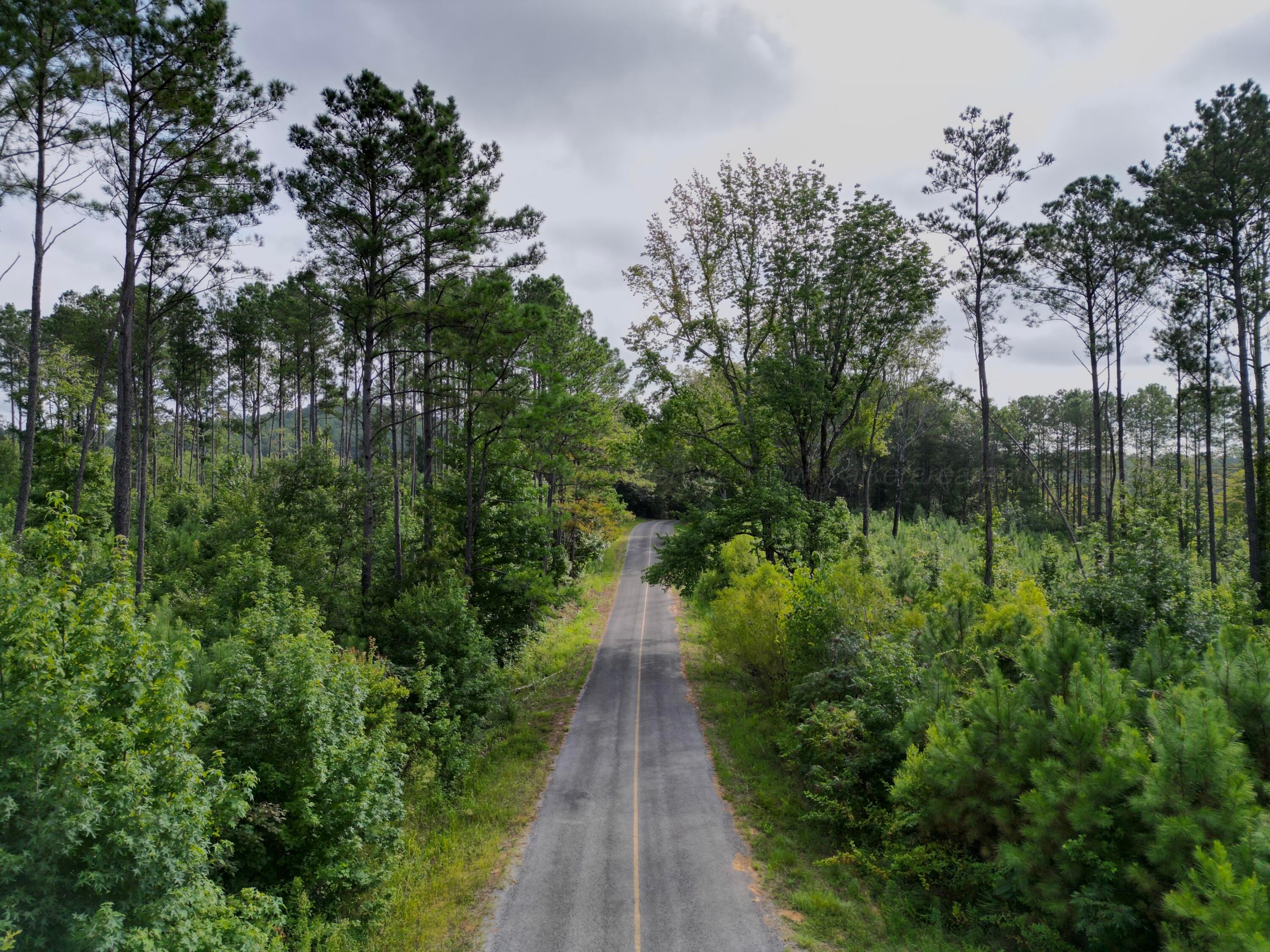 1 Homestead Road Eldridge, AL 35554 - Photo 10 of 15 Road
