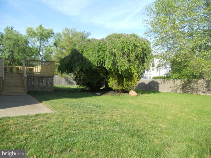5 Banner Road Cherry Hill, NJ 08003 - Photo 21 of 23 Back Yard