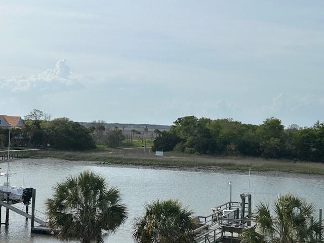 11 Tabby Lane Isle of Palms, SC 29451 - Photo 48 of 62 12