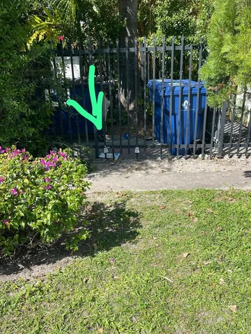 a view of a backyard with large trees