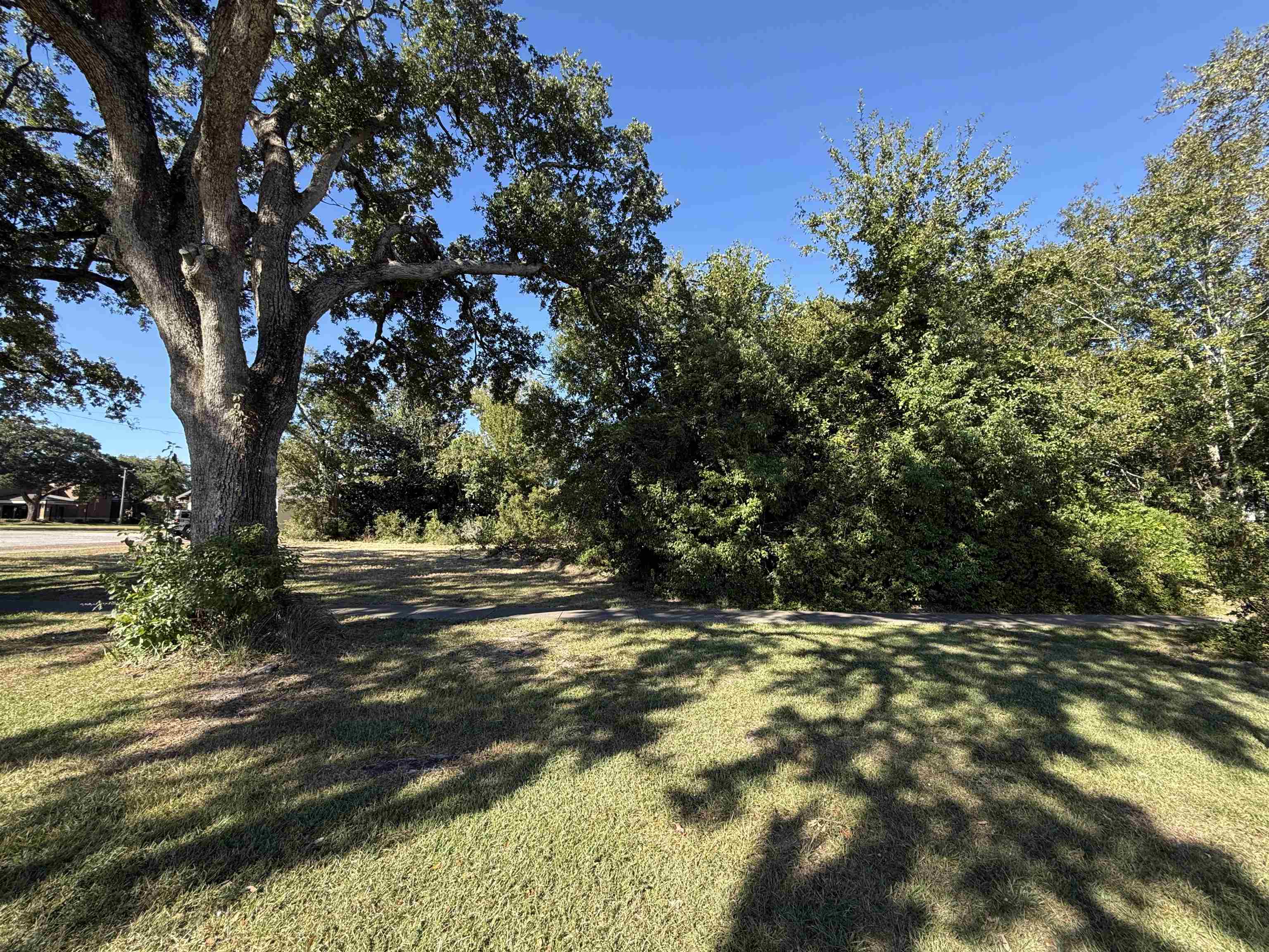 0 North Alston Street Foley, AL 36535 - Photo 3 of 4