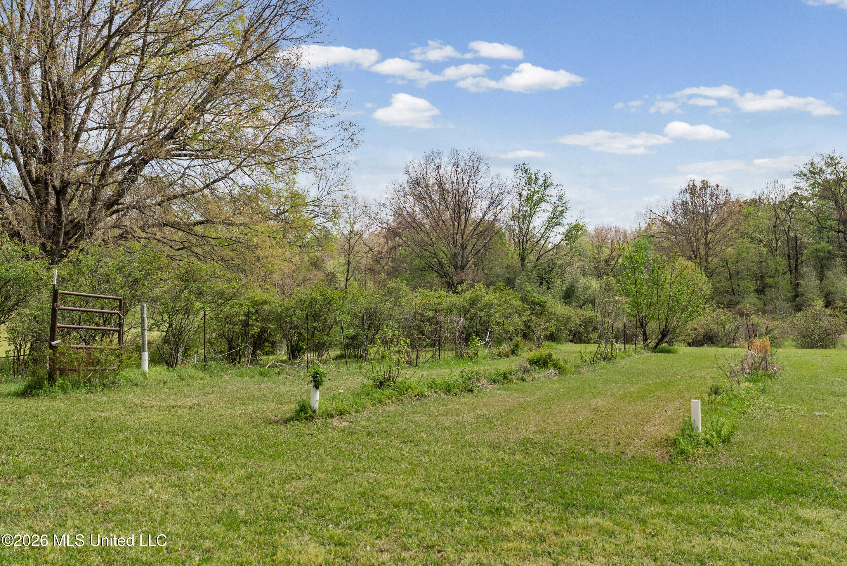 400 Pioneer Village Road Senatobia, MS 38668 - Photo 18 of 32 Backyard