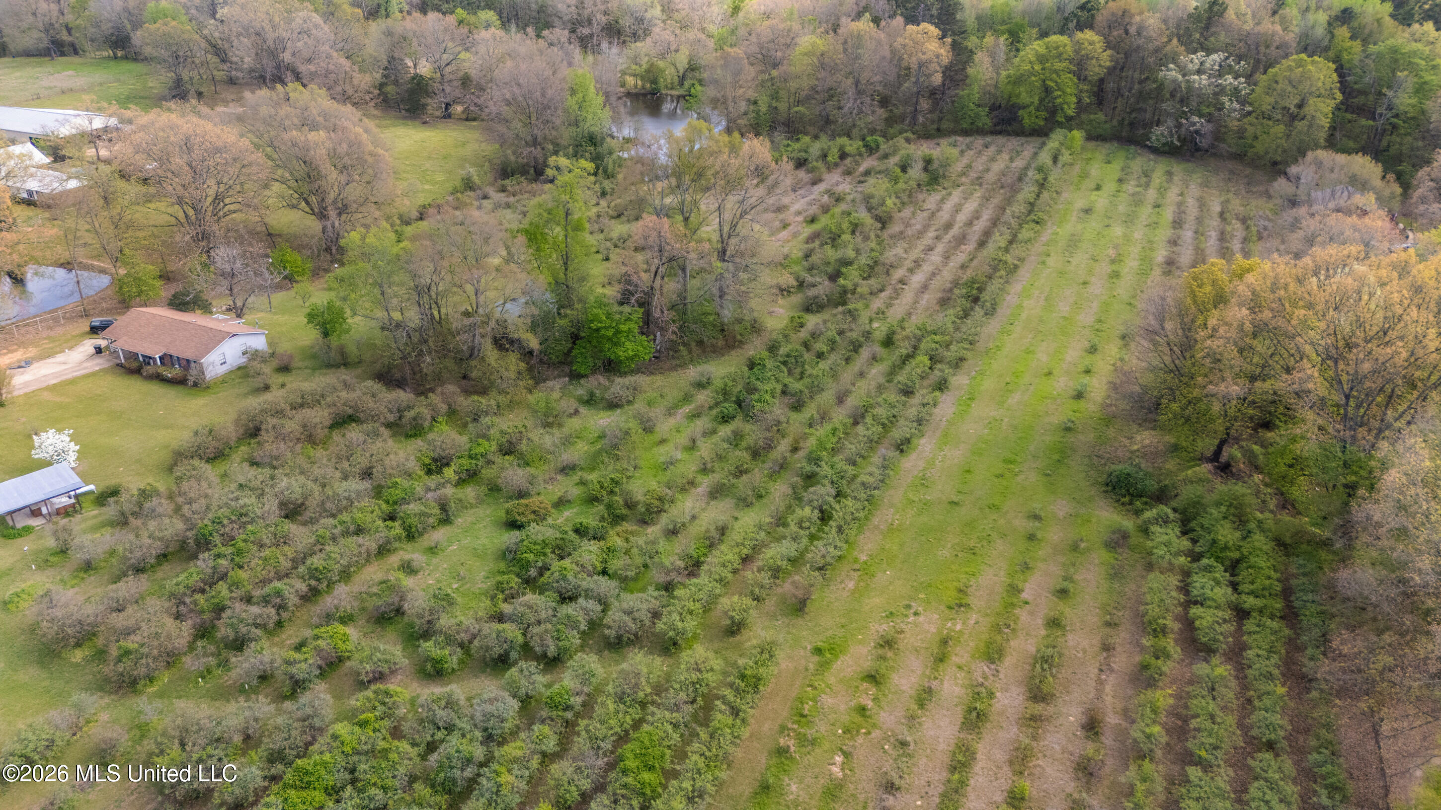 400 Pioneer Village Road Senatobia, MS 38668 - Photo 26 of 32 Land View