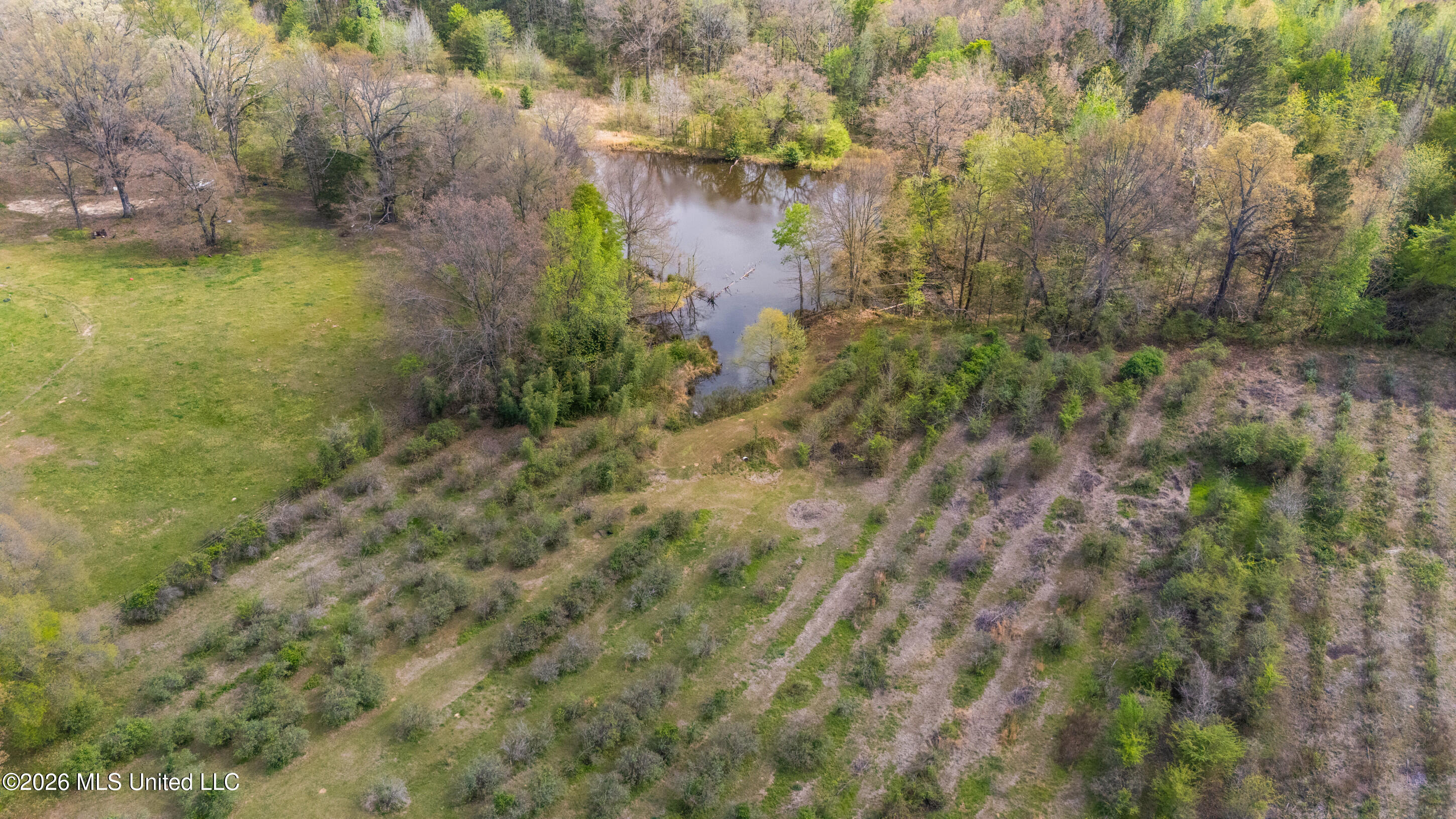 400 Pioneer Village Road Senatobia, MS 38668 - Photo 27 of 32 Lake View