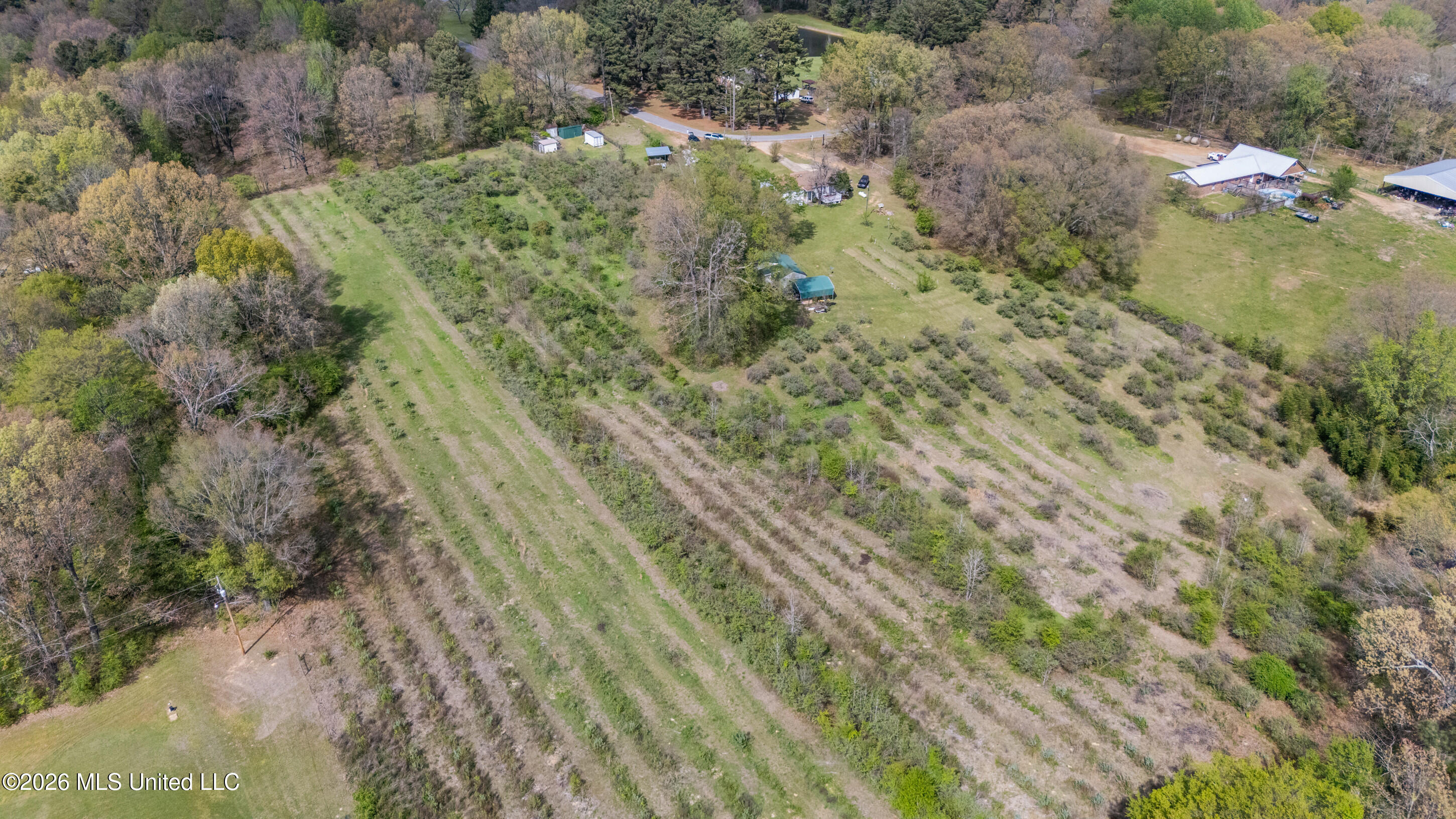 400 Pioneer Village Road Senatobia, MS 38668 - Photo 28 of 32 Land View