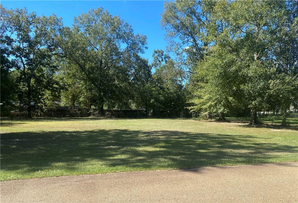 0 Willis Road Ponchatoula, LA 70454 - Photo 2 of 7 Gallery Image 2