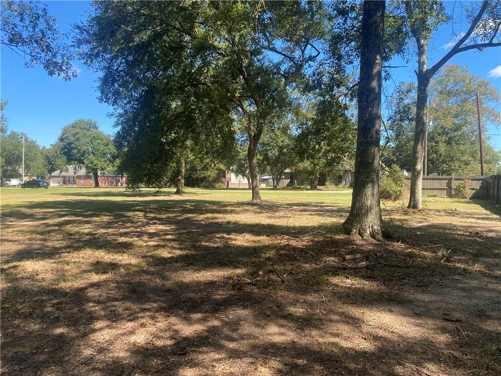 0 Willis Road Ponchatoula, LA 70454 - Photo 4 of 7 Gallery Image 4