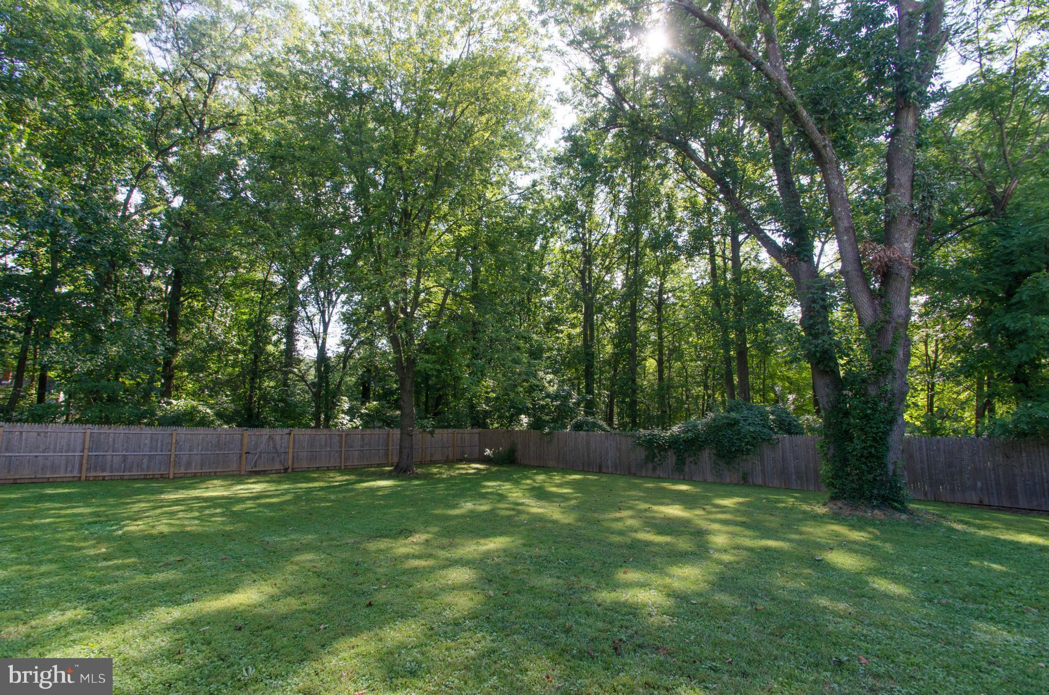 1443 Harding Lane Silver Spring, MD 20905 - Photo 8 of 28 Exterior (Rear)