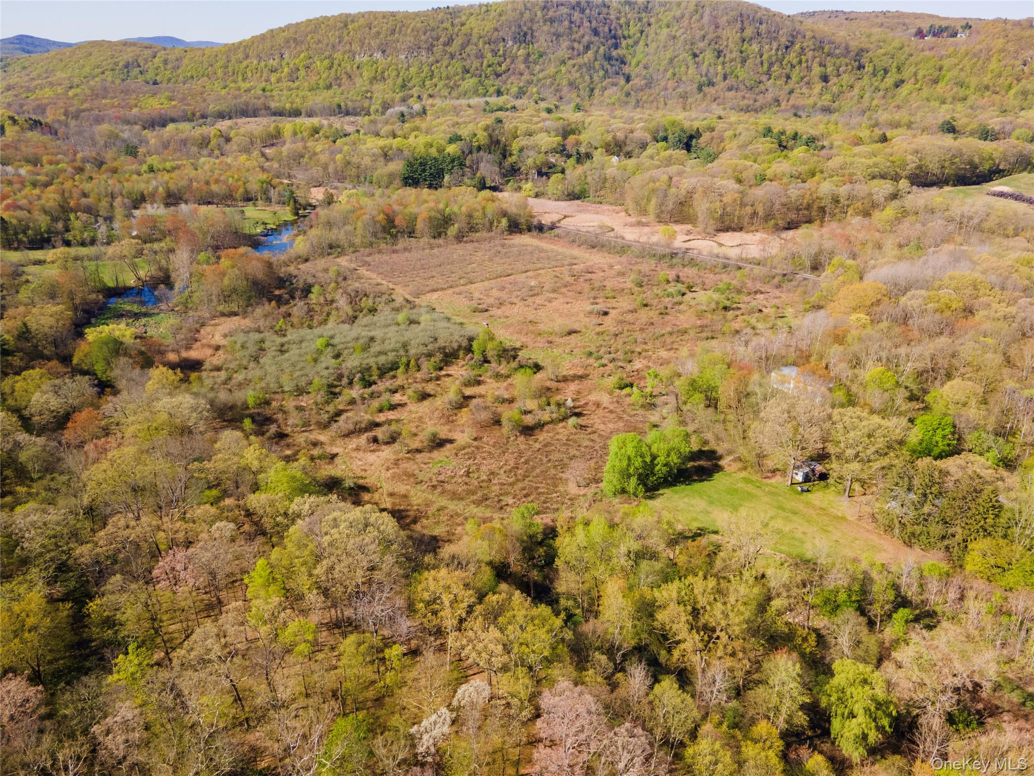 378 Union Center Road Ulster Park, NY 12487 - Photo 5 of 15 View of mountain background featuring a heavily wooded area