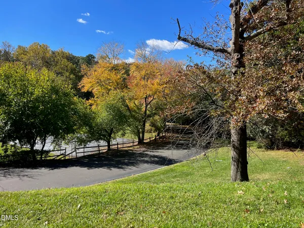 a view of a yard with a tree