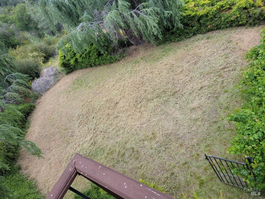 7490 Walnut Lane Lower Lake, CA 95457 - Photo 20 of 21 a view of a yard with plants