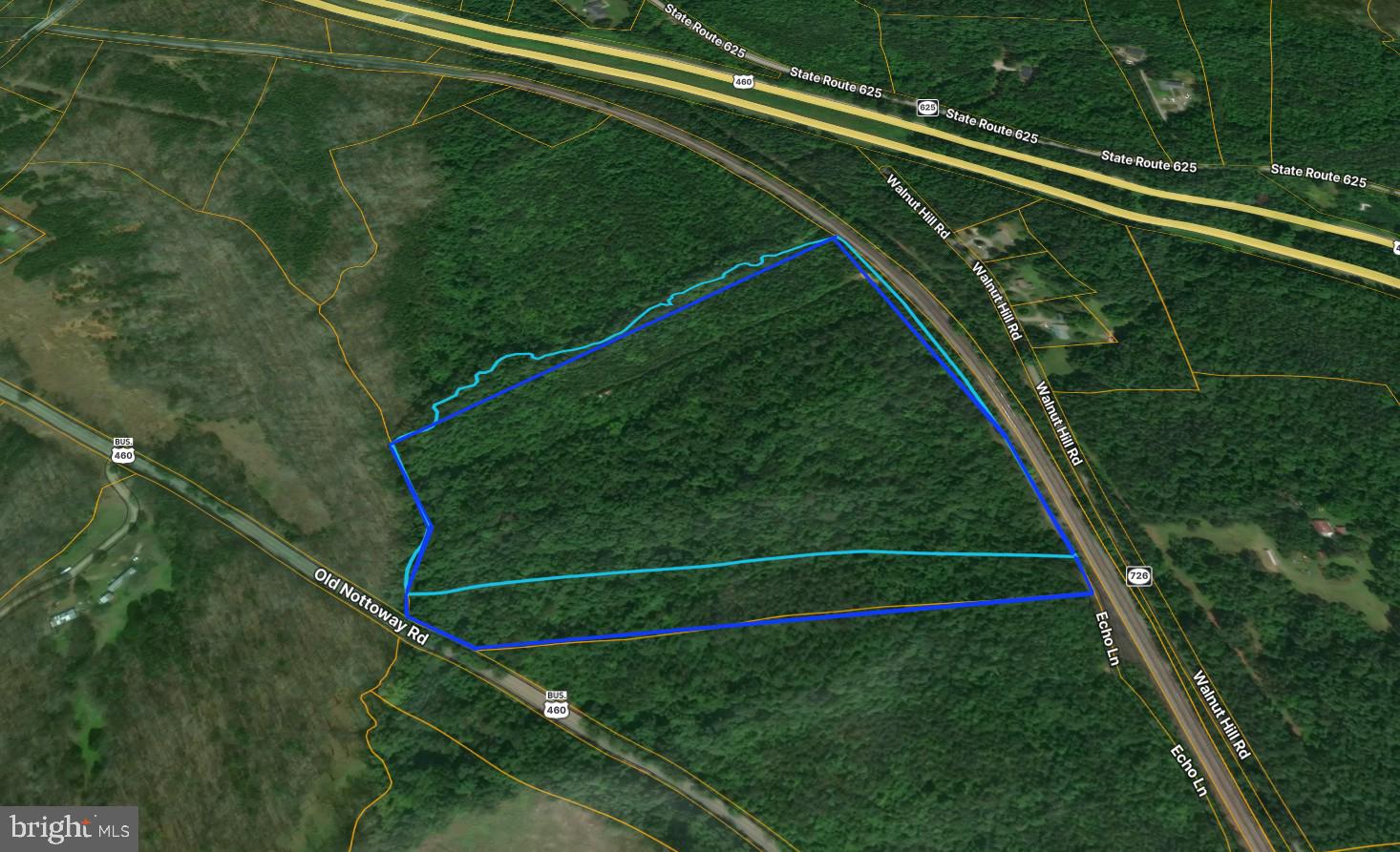 0 Old Nottoway Road Blackstone, VA 23824 - Photo 1 of 7