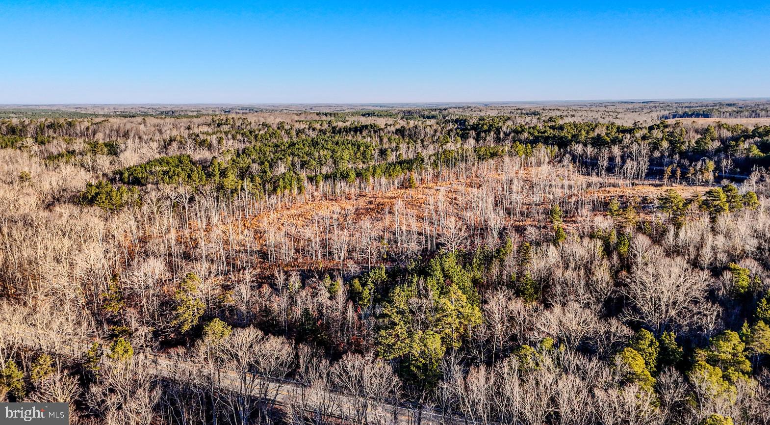 0 Old Nottoway Road Blackstone, VA 23824 - Photo 6 of 7