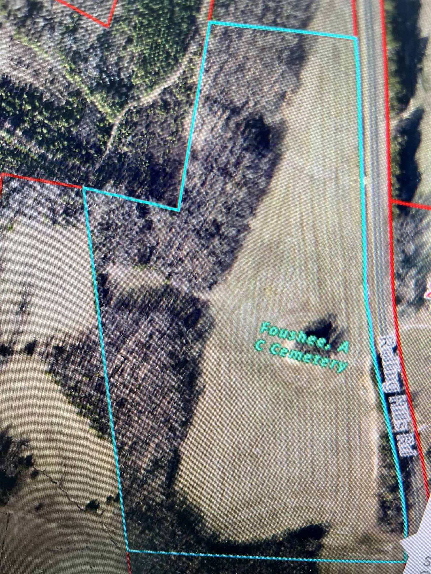 4 Rolling Hills Road Hurdle Mills, NC 27541 - Photo 2 of 3 Photo 2